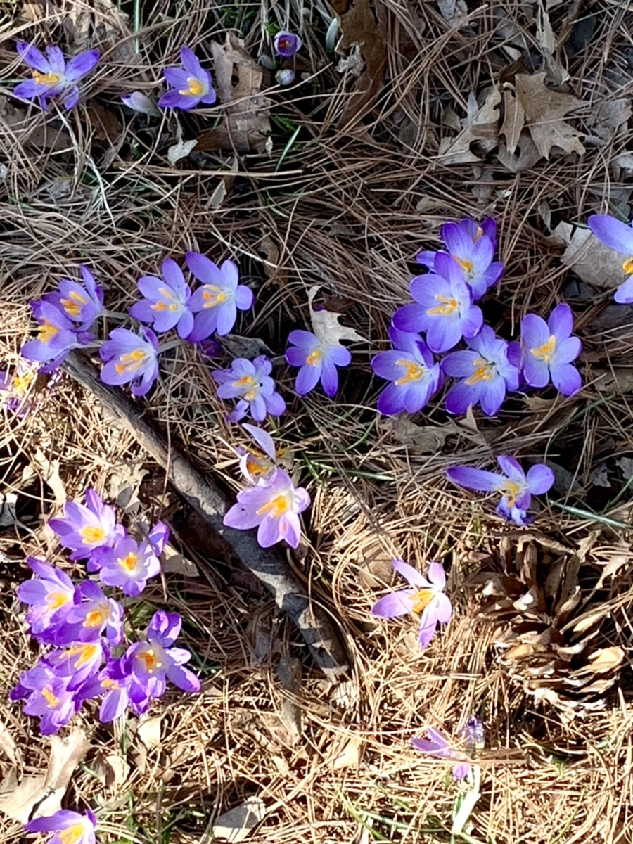 IMG_9755.jpg?type=w966