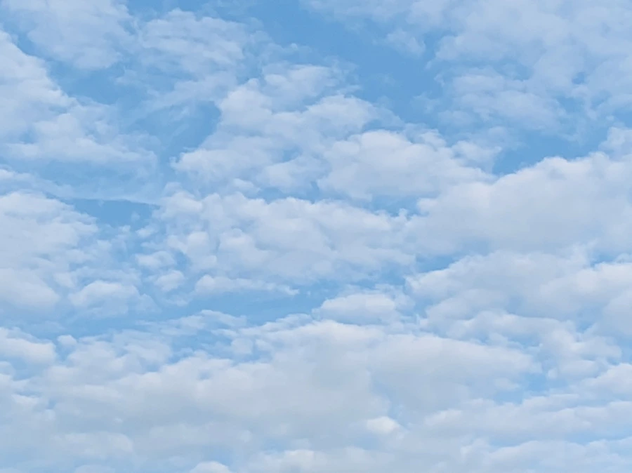 IMG_5818.jpg?type=w966