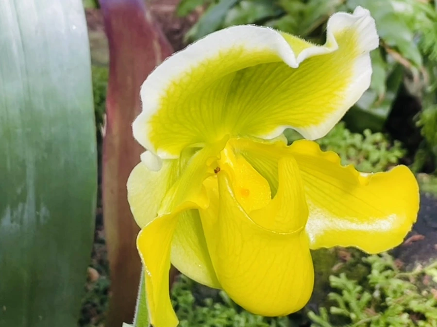 IMG_4470.jpg?type=w966