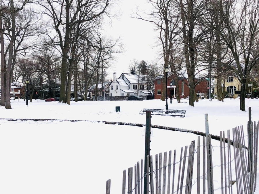 IMG_3875.jpg?type=w966