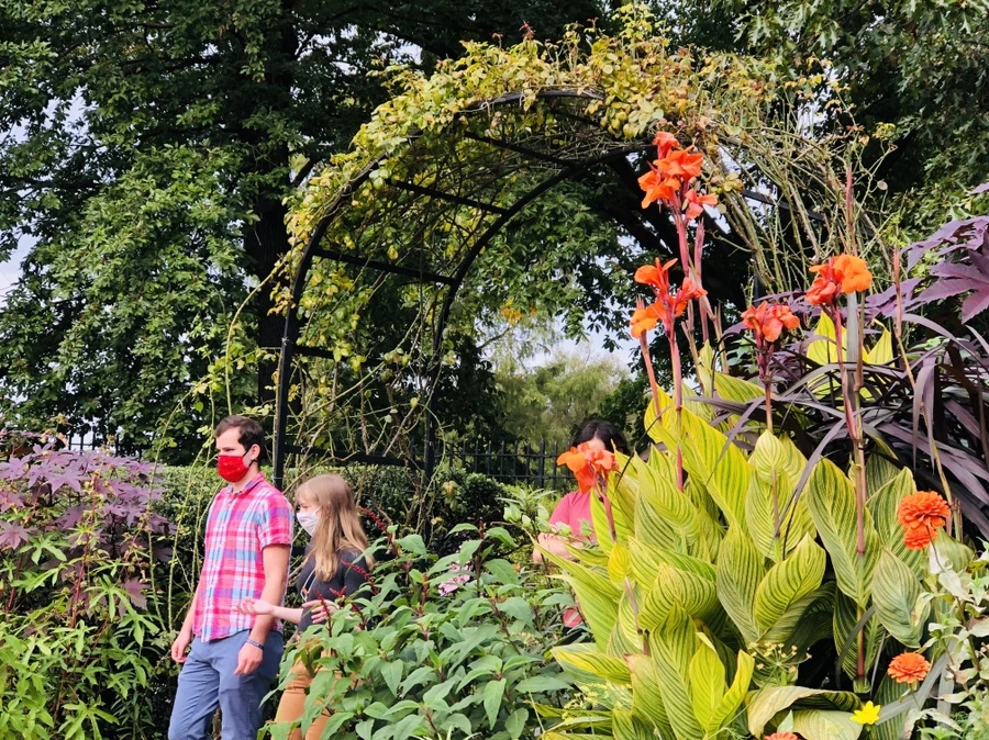 IMG_1848.jpg?type=w966