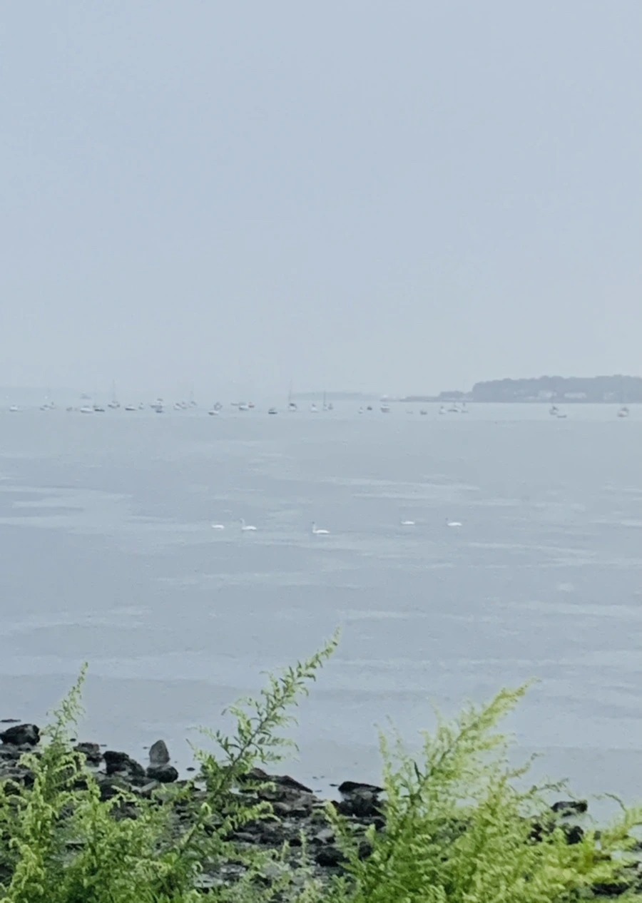 IMG_9287.jpg?type=w966