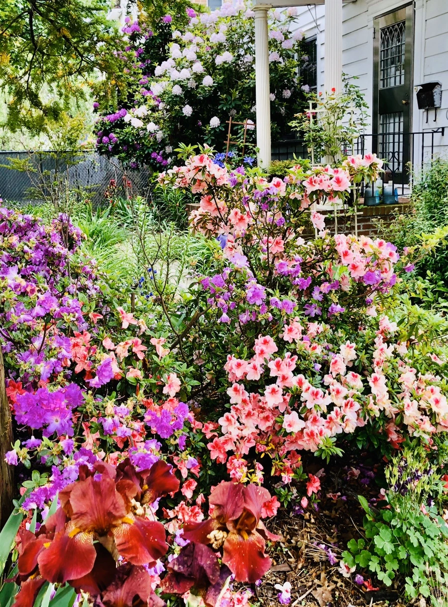 IMG_7597.jpg?type=w966