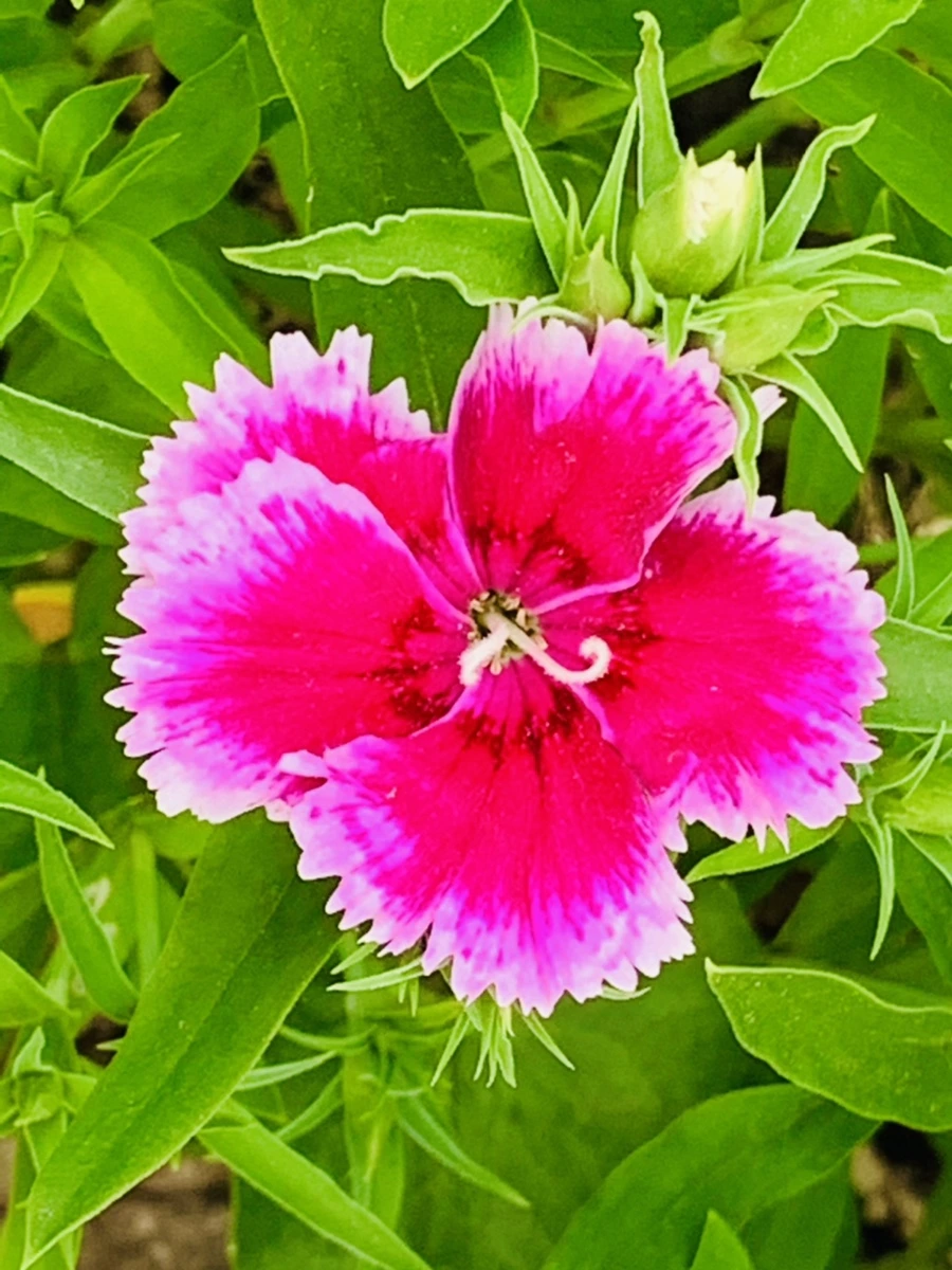 IMG_9025.jpg?type=w966