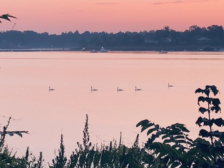 IMG_7158.jpg?type=w966