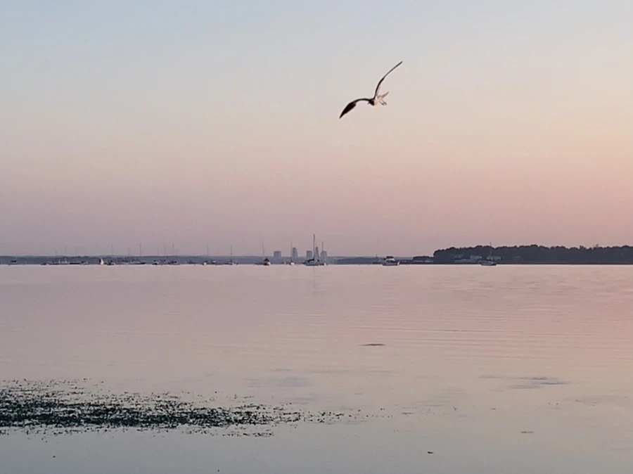 IMG_0149.jpg?type=w966