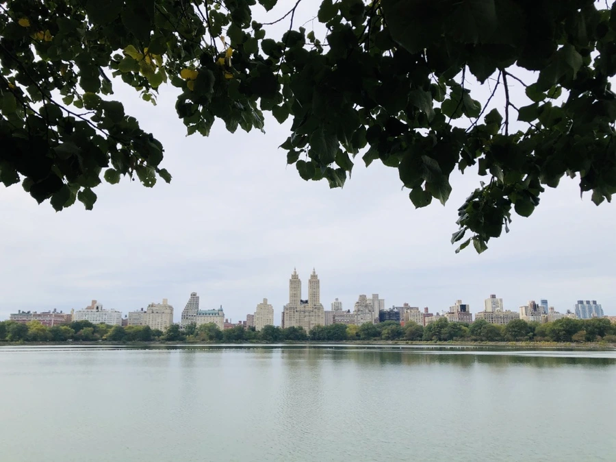 IMG_1798.jpg?type=w966