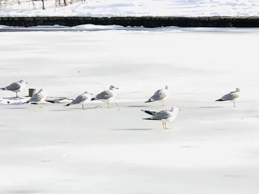 IMG_0177.jpg?type=w966