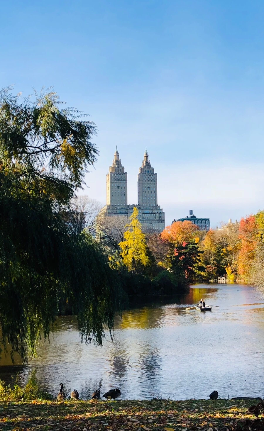 IMG_7520.jpg?type=w966