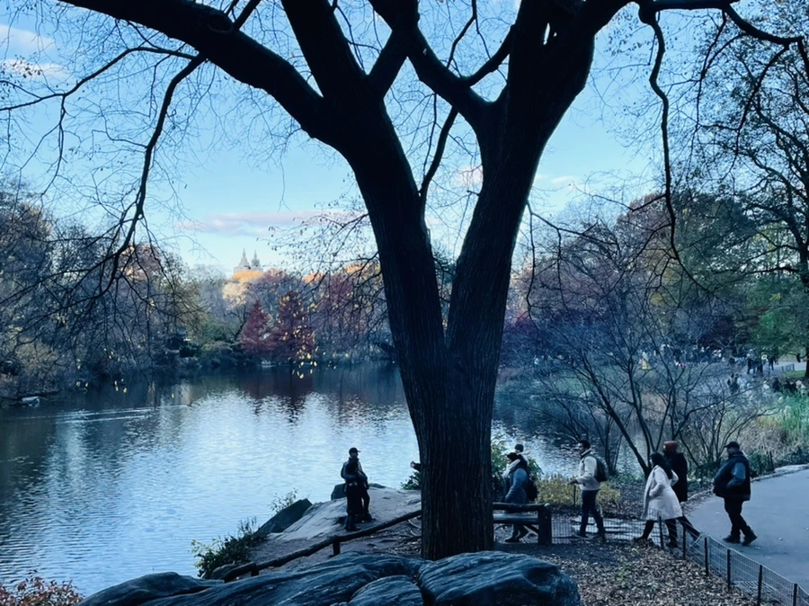 IMG_5005.jpg?type=w966