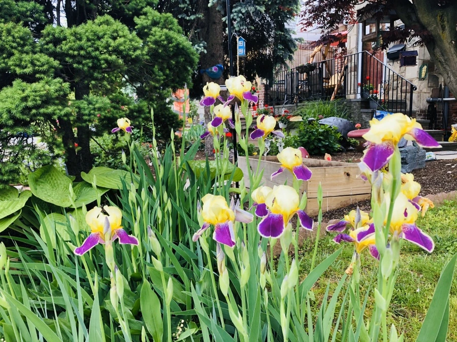 IMG_7434.jpg?type=w966