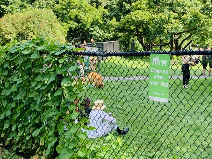 IMG_0627.jpg?type=w966