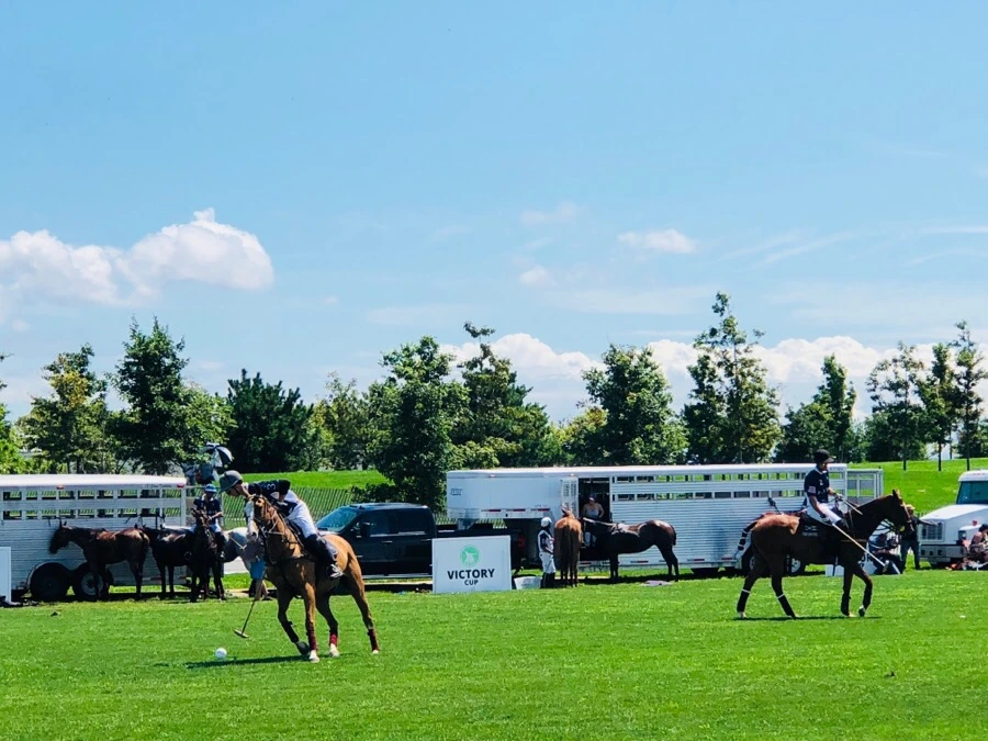 IMG_0491.jpg?type=w966