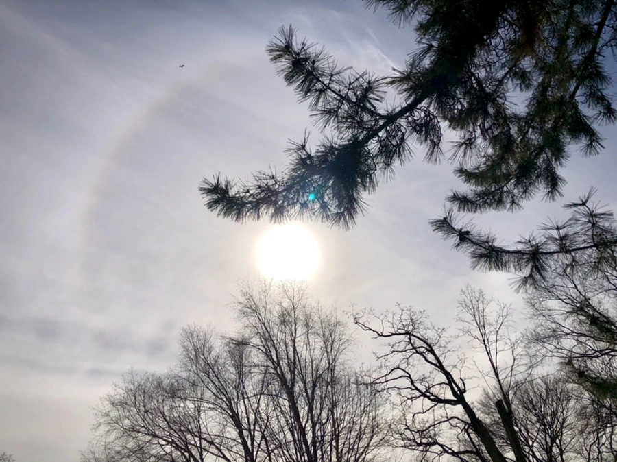 IMG_3094.jpg?type=w966