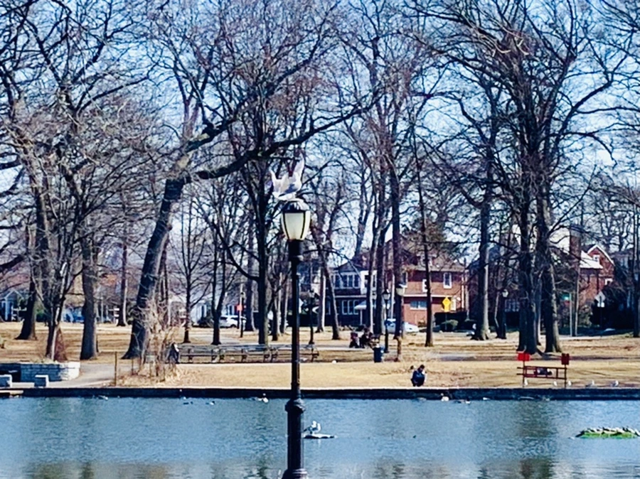 IMG_9598.jpg?type=w966