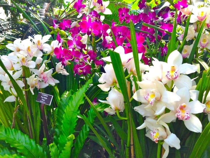 IMG_2938.JPG?type=w2