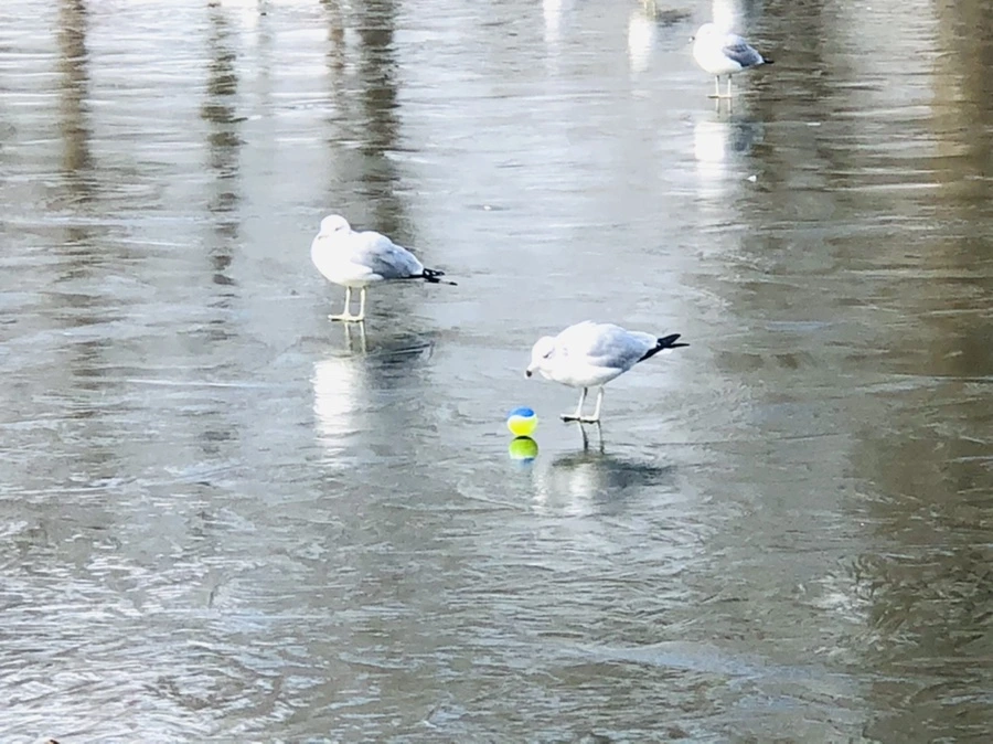 IMG_4679.jpg?type=w966