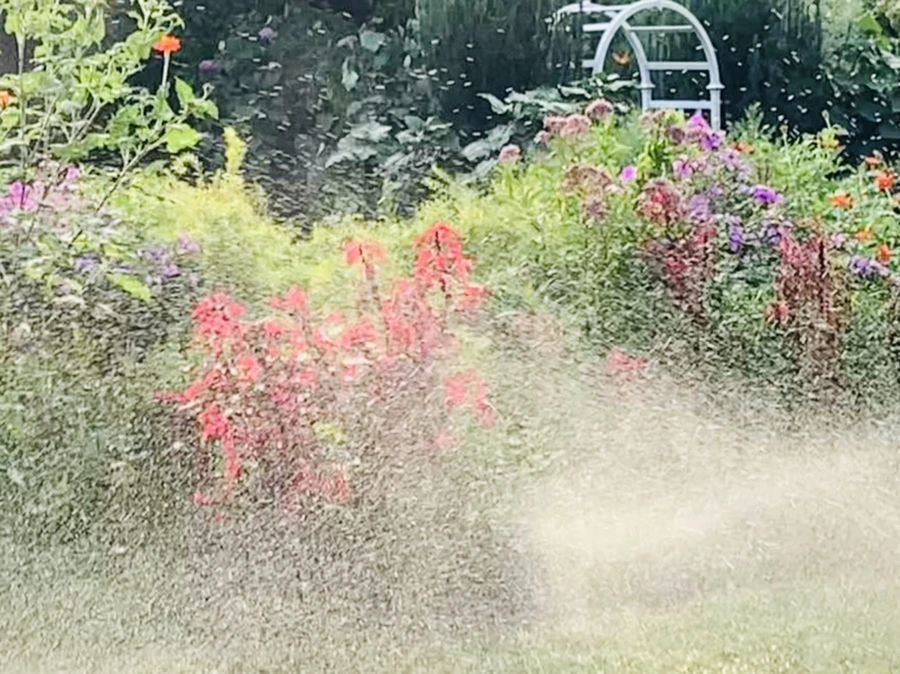 IMG_1238.jpg?type=w966