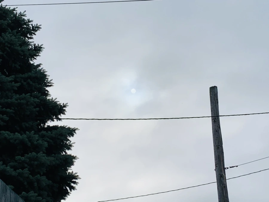 IMG_5744.jpg?type=w966