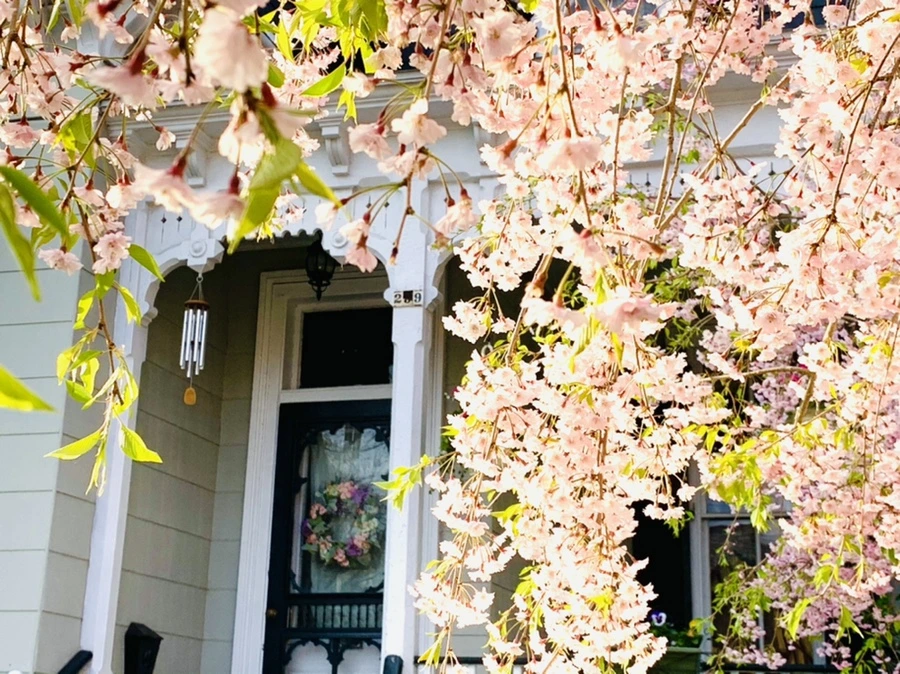 IMG_3687.jpg?type=w966