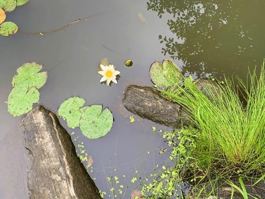 IMG_4858.jpg?type=w966