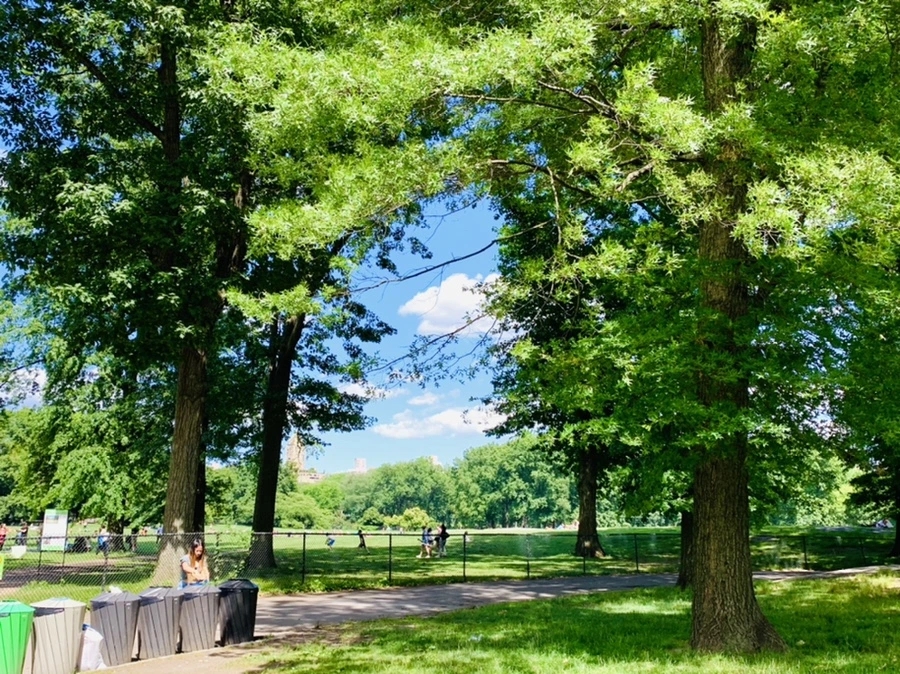 IMG_6343.jpg?type=w966