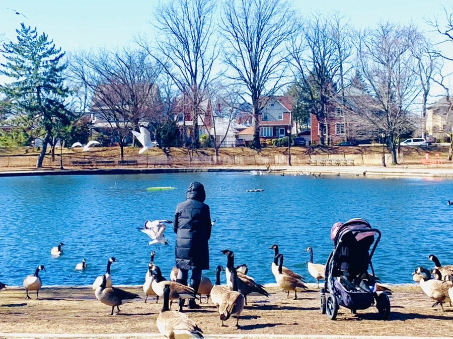 IMG_6684.jpg?type=w966