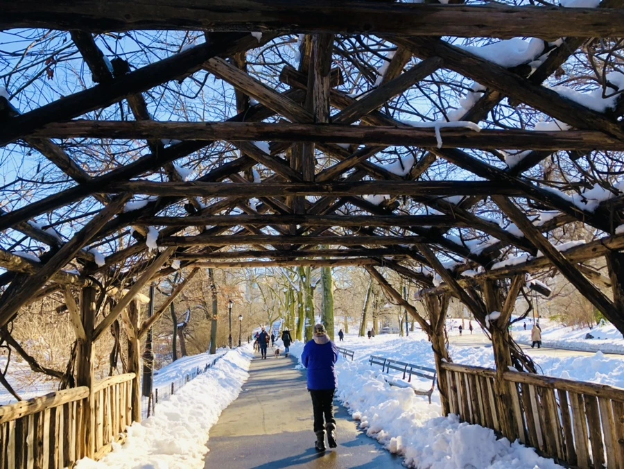 IMG_9907.jpg?type=w966