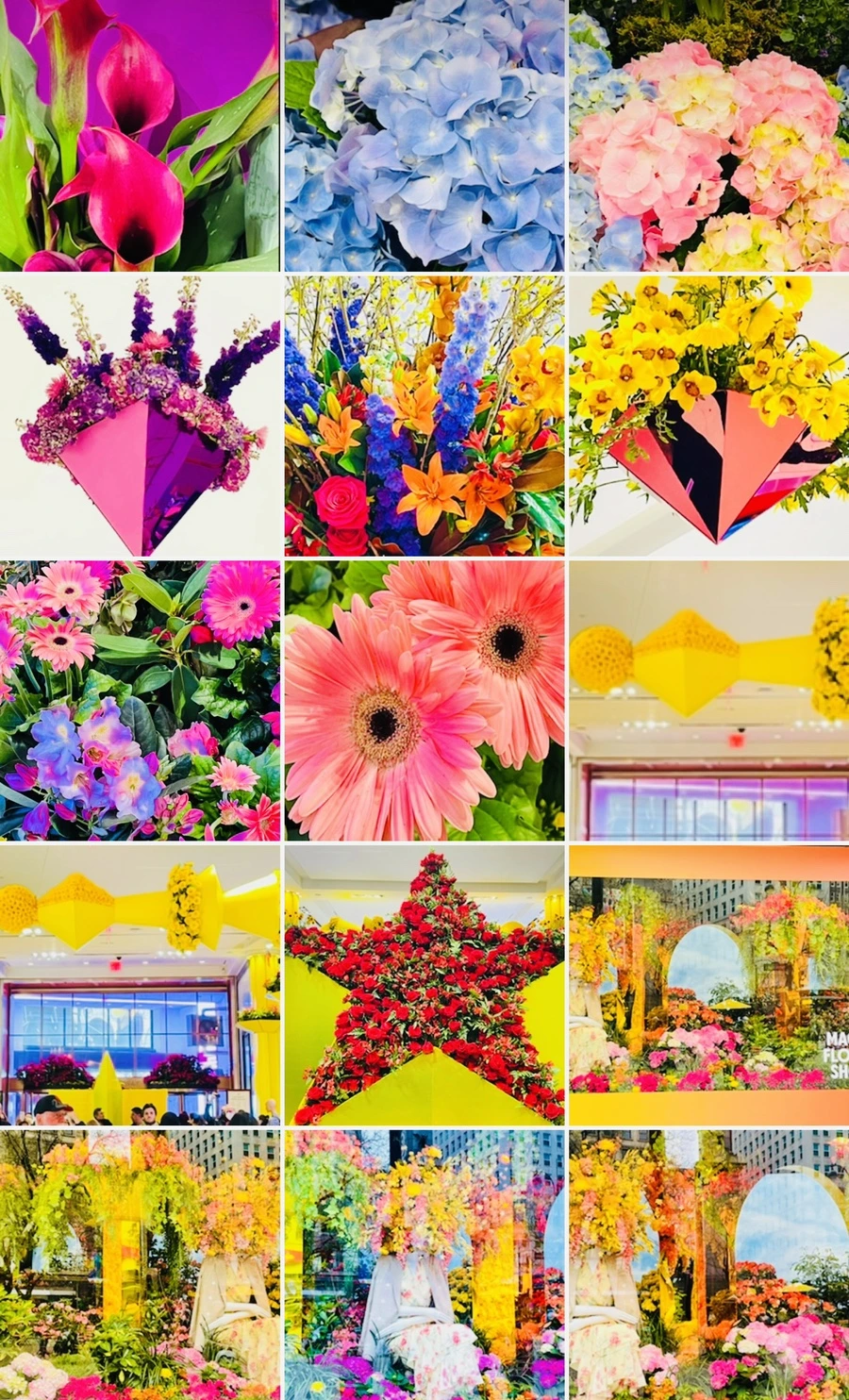 IMG_7696.jpg?type=w966