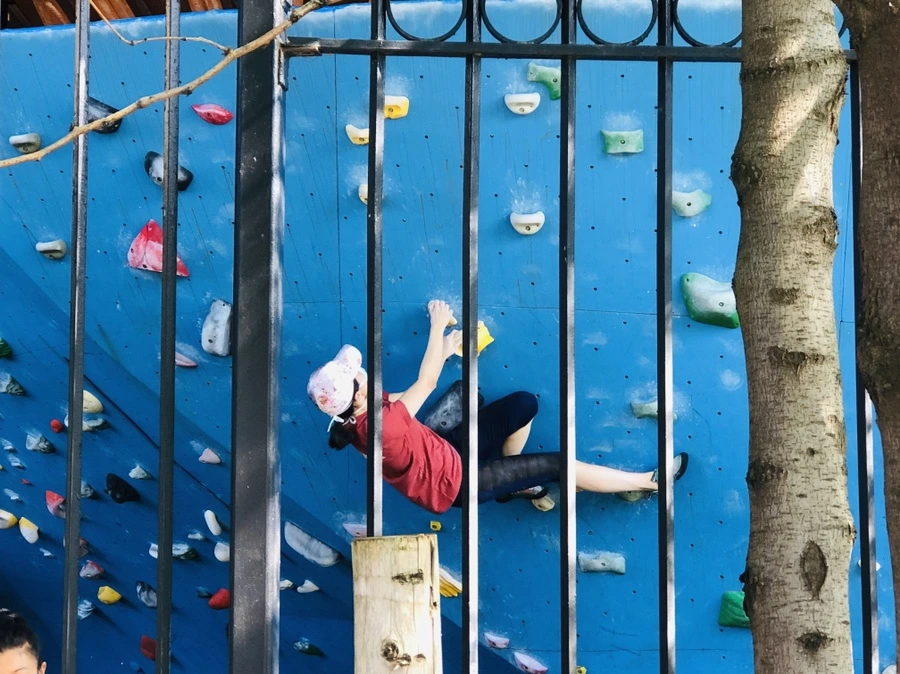 IMG_8267.jpg?type=w966