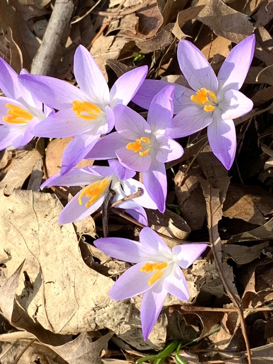 IMG_9768.jpg?type=w966