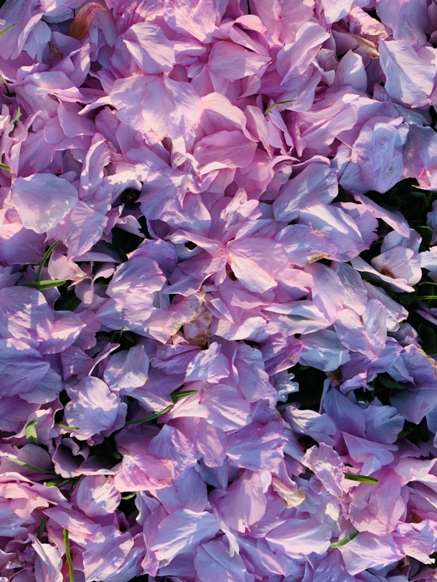 IMG_5509.jpg?type=w966