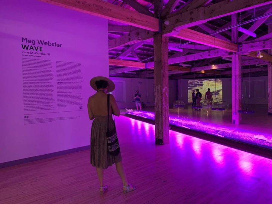 IMG_6817.jpg?type=w966