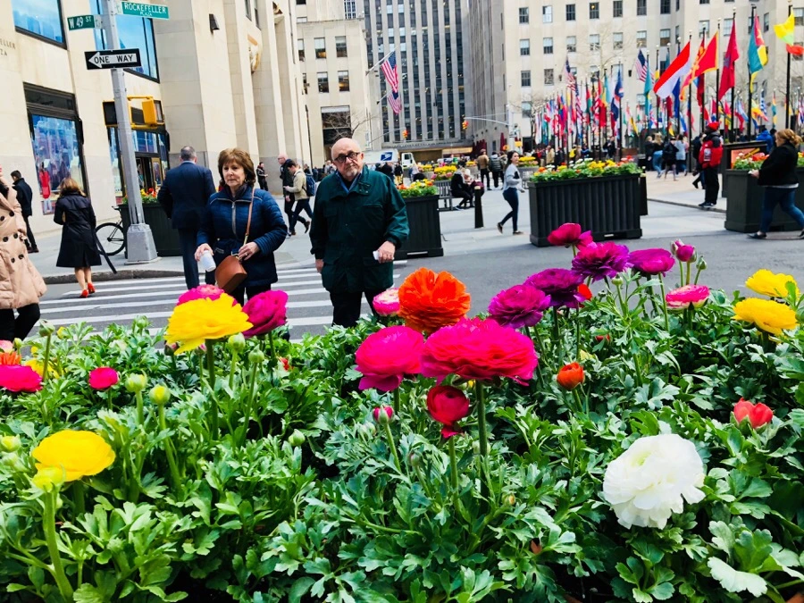 IMG_4261.jpg?type=w966