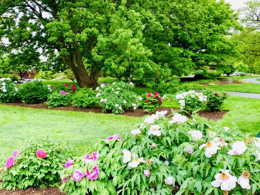 IMG_9952.jpg?type=w966