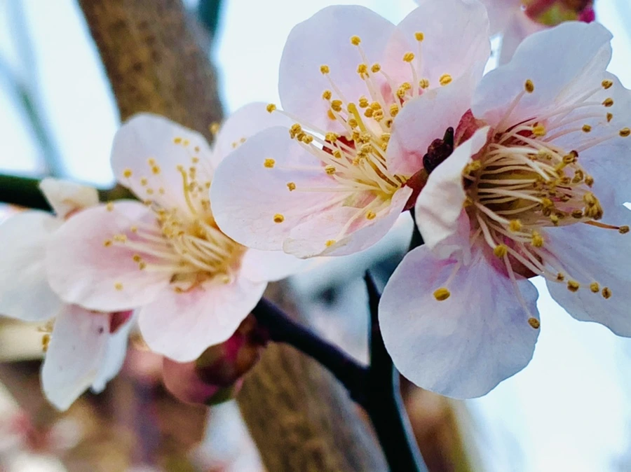 IMG_2273.jpg?type=w966