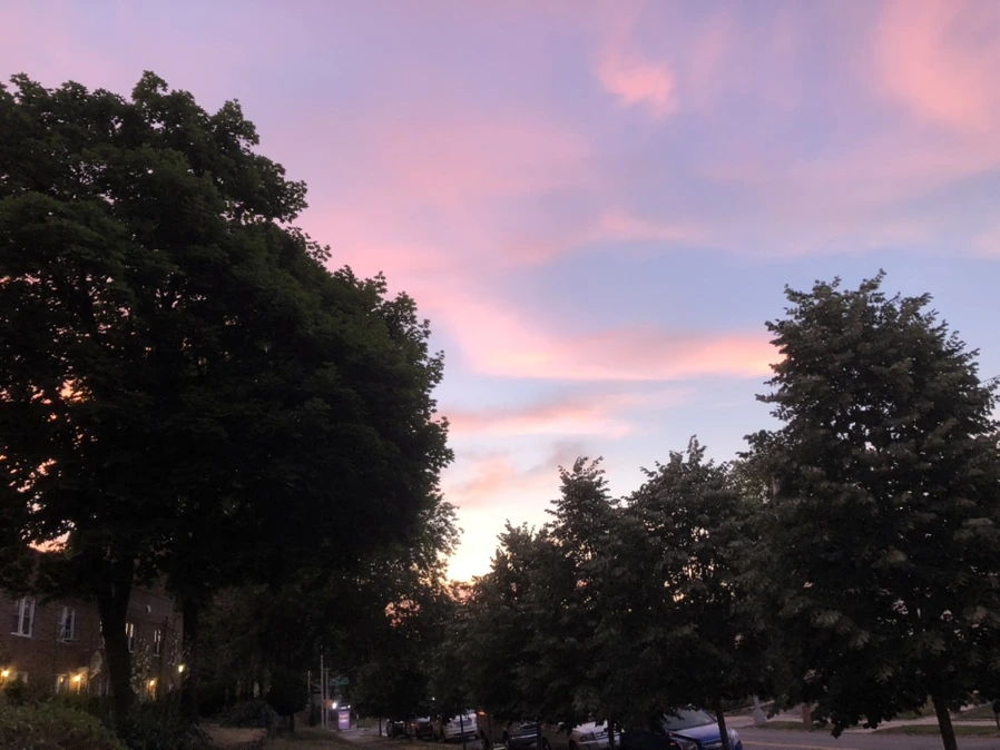 IMG_0280.jpg?type=w966