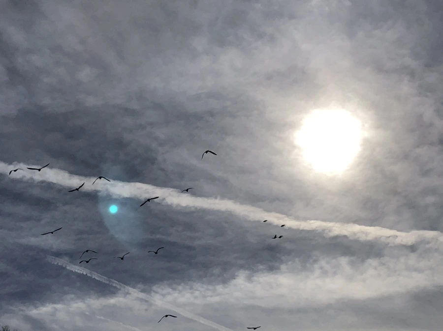 IMG_5720.jpg?type=w966