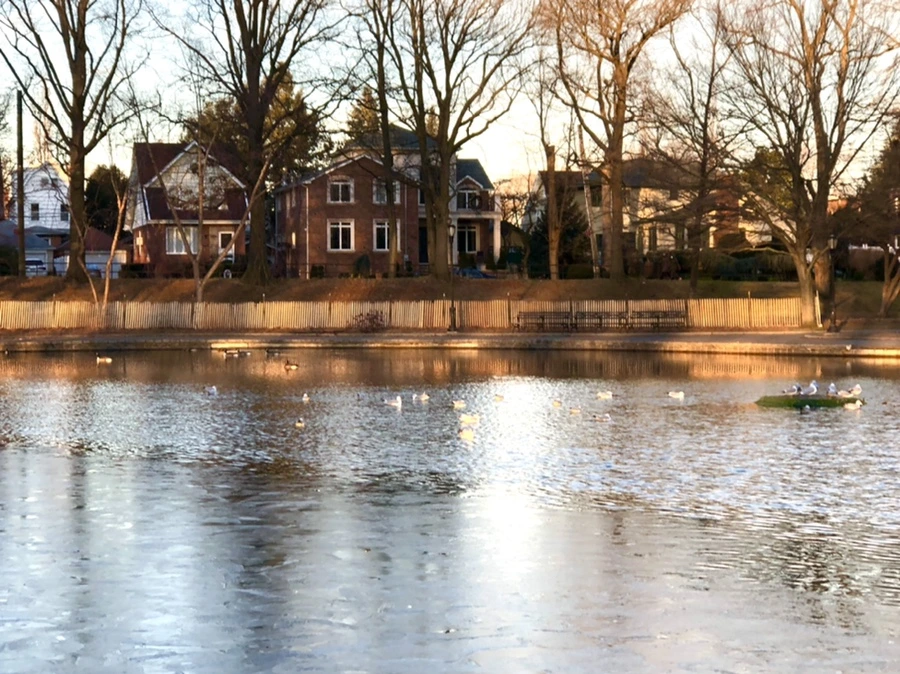 IMG_0768.jpg?type=w966