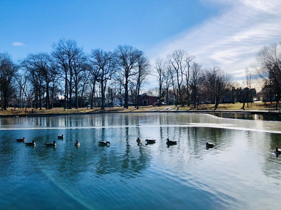 IMG_5498.jpg?type=w966