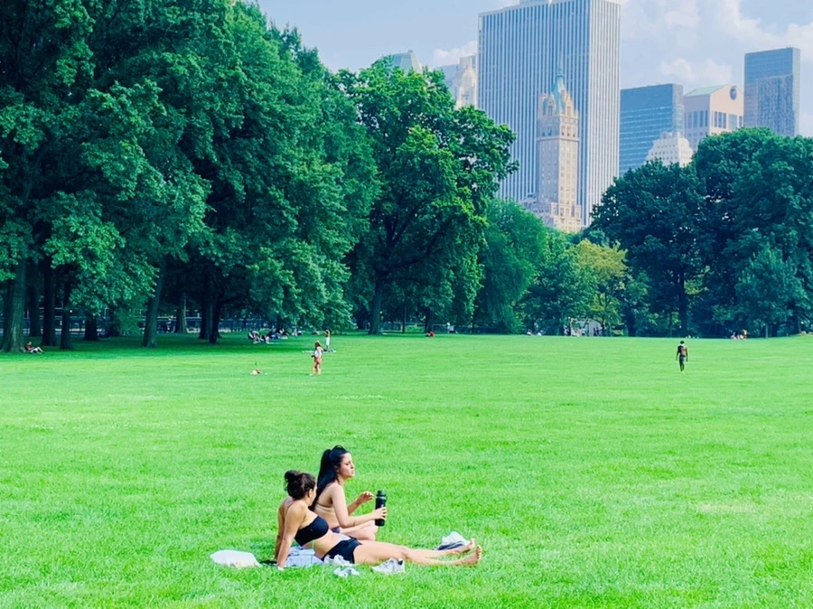 IMG_1696.jpg?type=w966