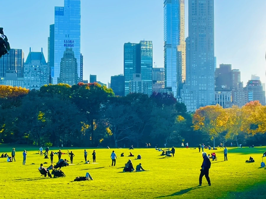 IMG_1392.jpg?type=w966