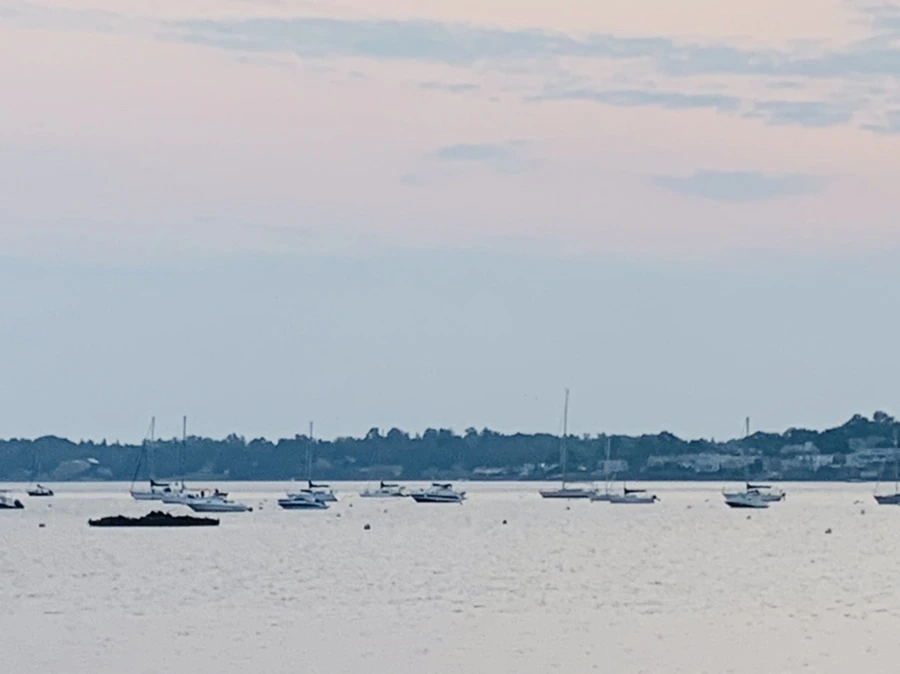 IMG_2348.jpg?type=w966