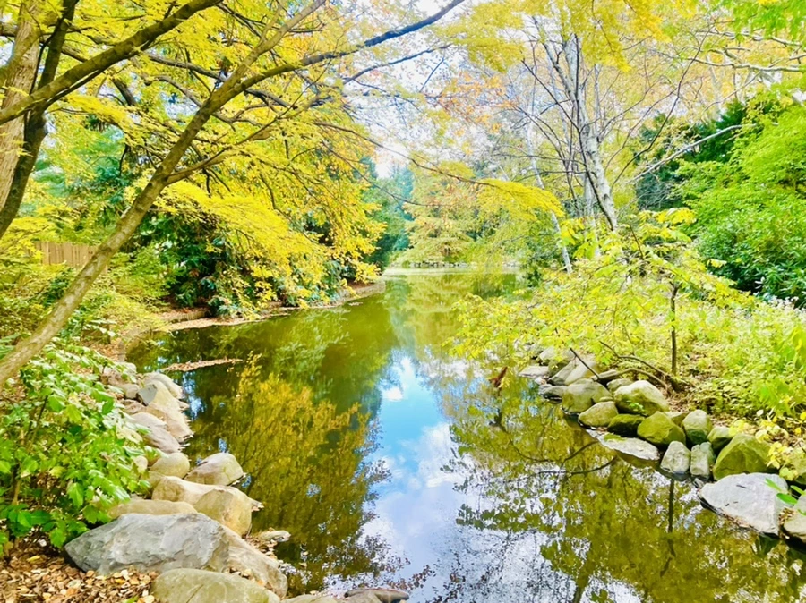 IMG_0205.jpg?type=w966