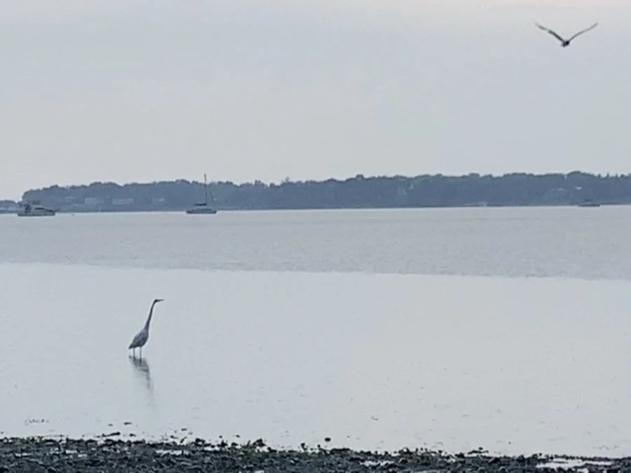 IMG_8112.jpg?type=w966