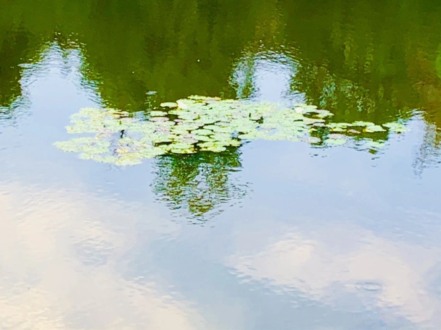 IMG_5828.jpg?type=w966