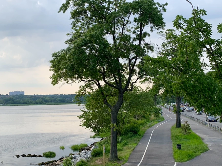 IMG_1569.jpg?type=w966