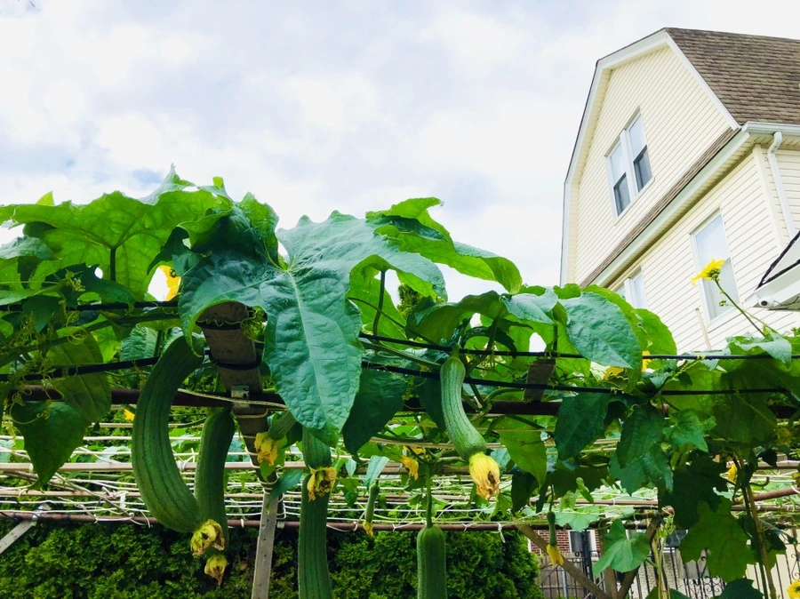 IMG_4168.jpg?type=w966