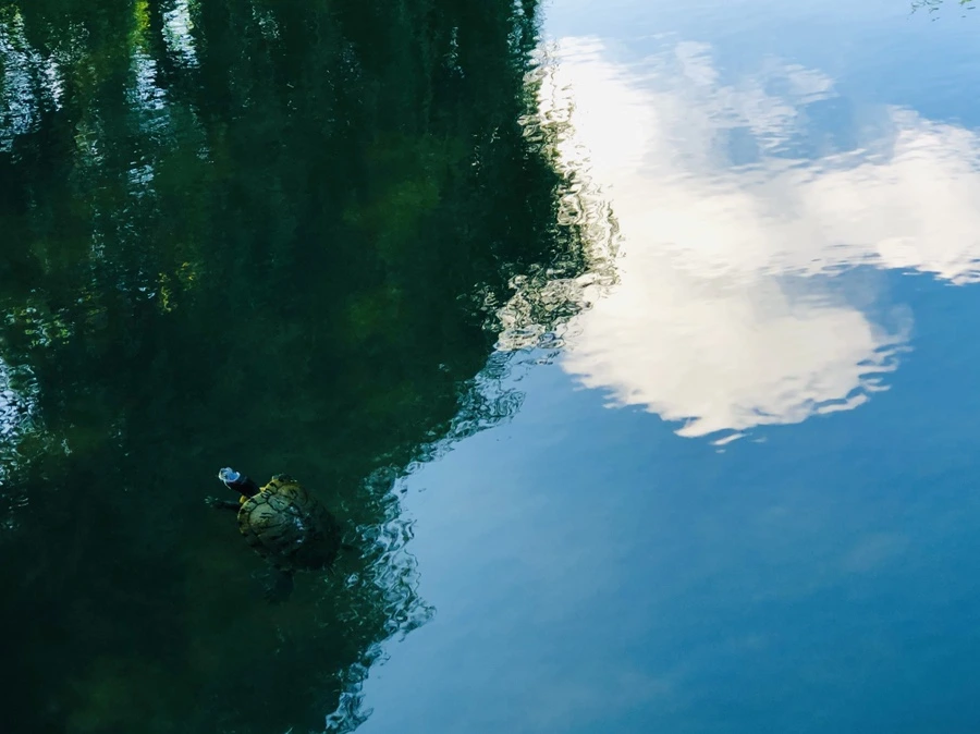 IMG_2895.jpg?type=w966