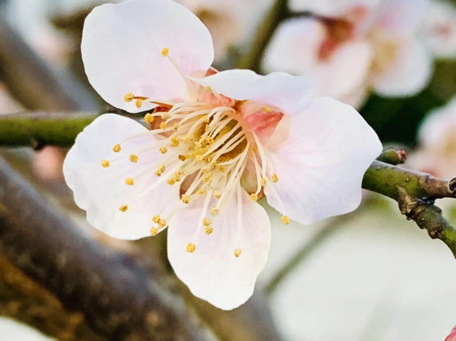 IMG_2323.jpg?type=w966